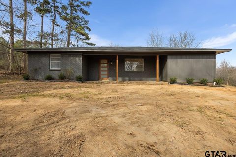 10302 CR 3181 Lindale TX 75771