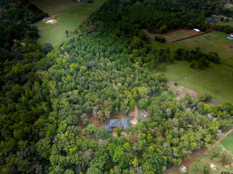 A home in Tyler