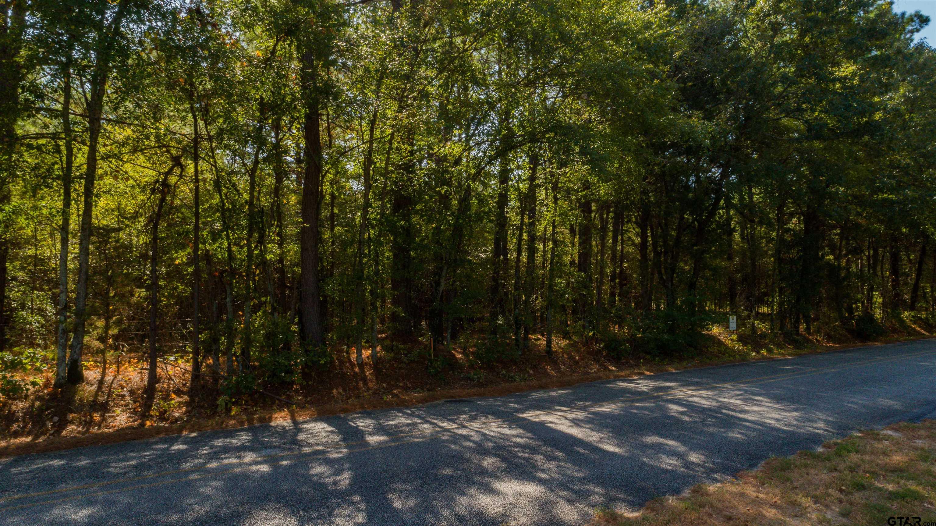 TBD C R 479, TRACT 4