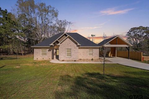 15101 cr 384 Tyler TX 75708