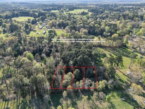 TBD S Alma Troup TX 75789