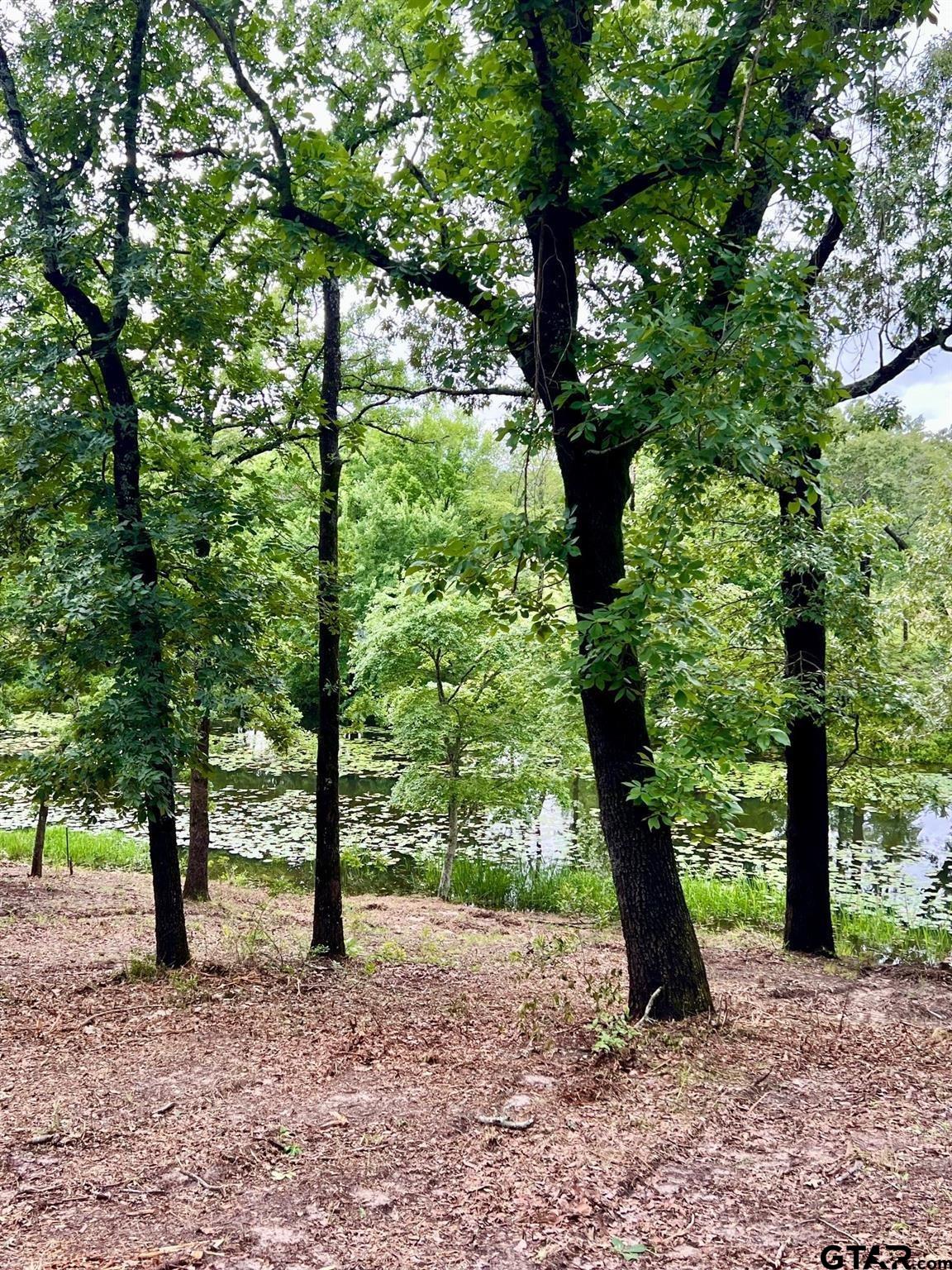 Lot 14 County Road 4801