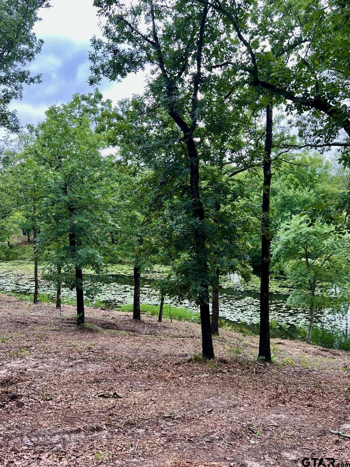 Lot 14 County Road 4801