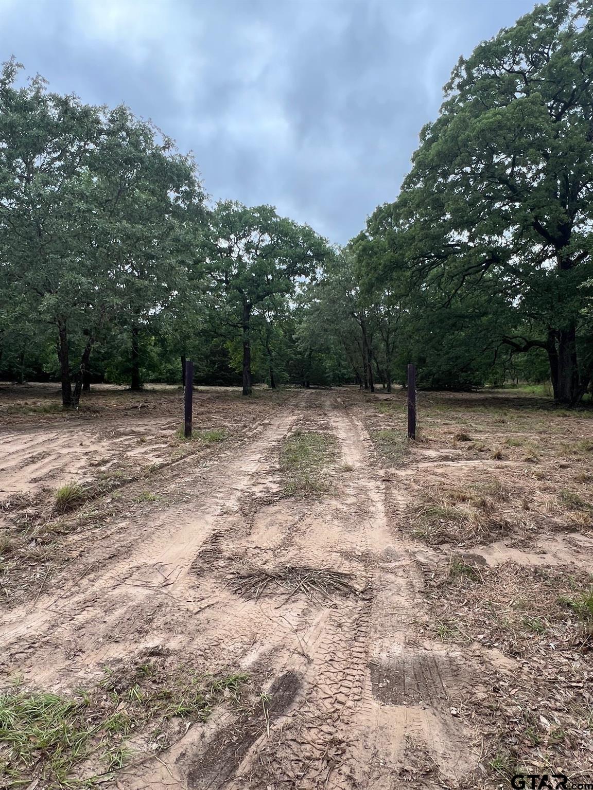 Lot 14 County Road 4801