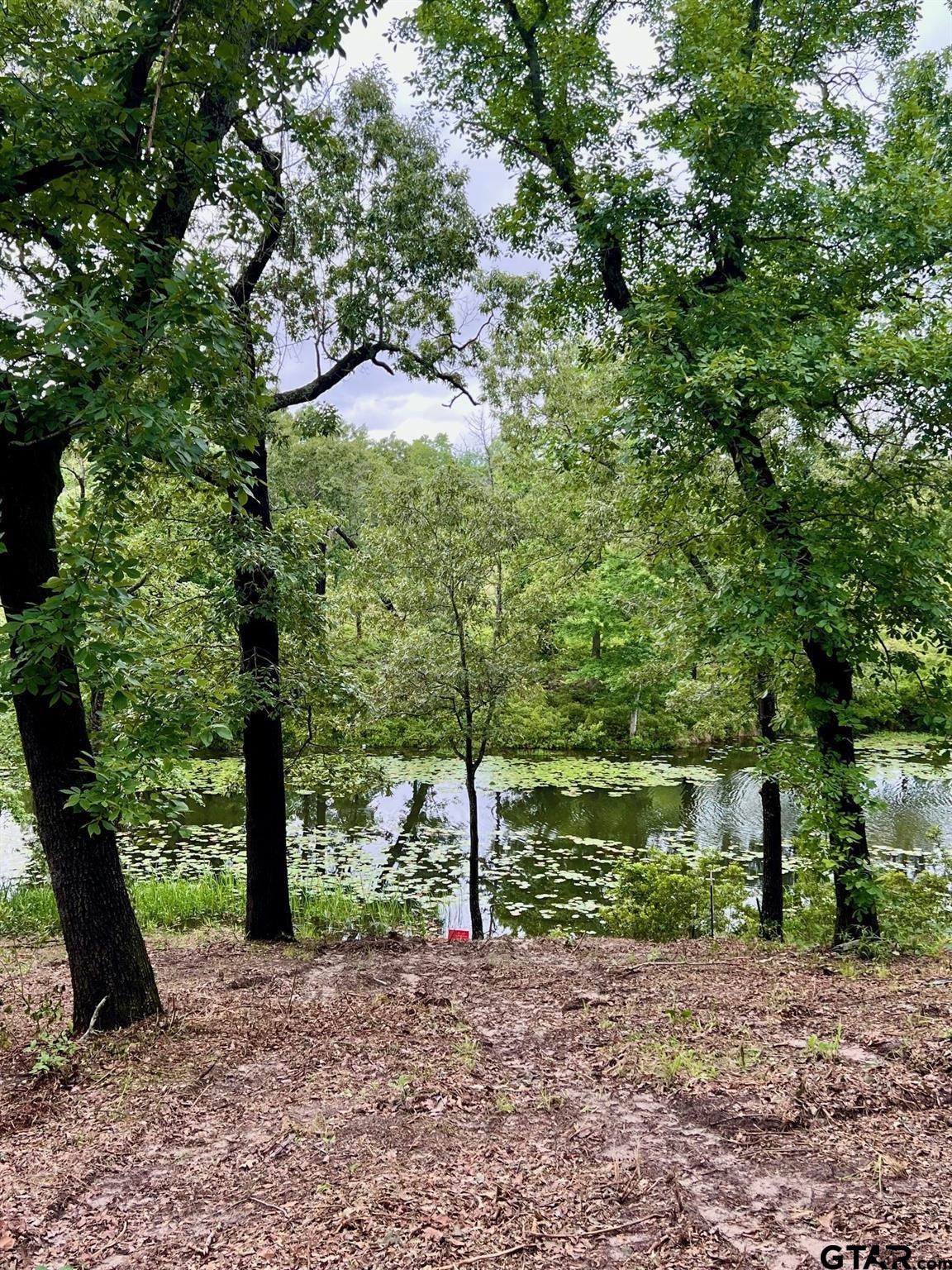 Lot 14 County Road 4801