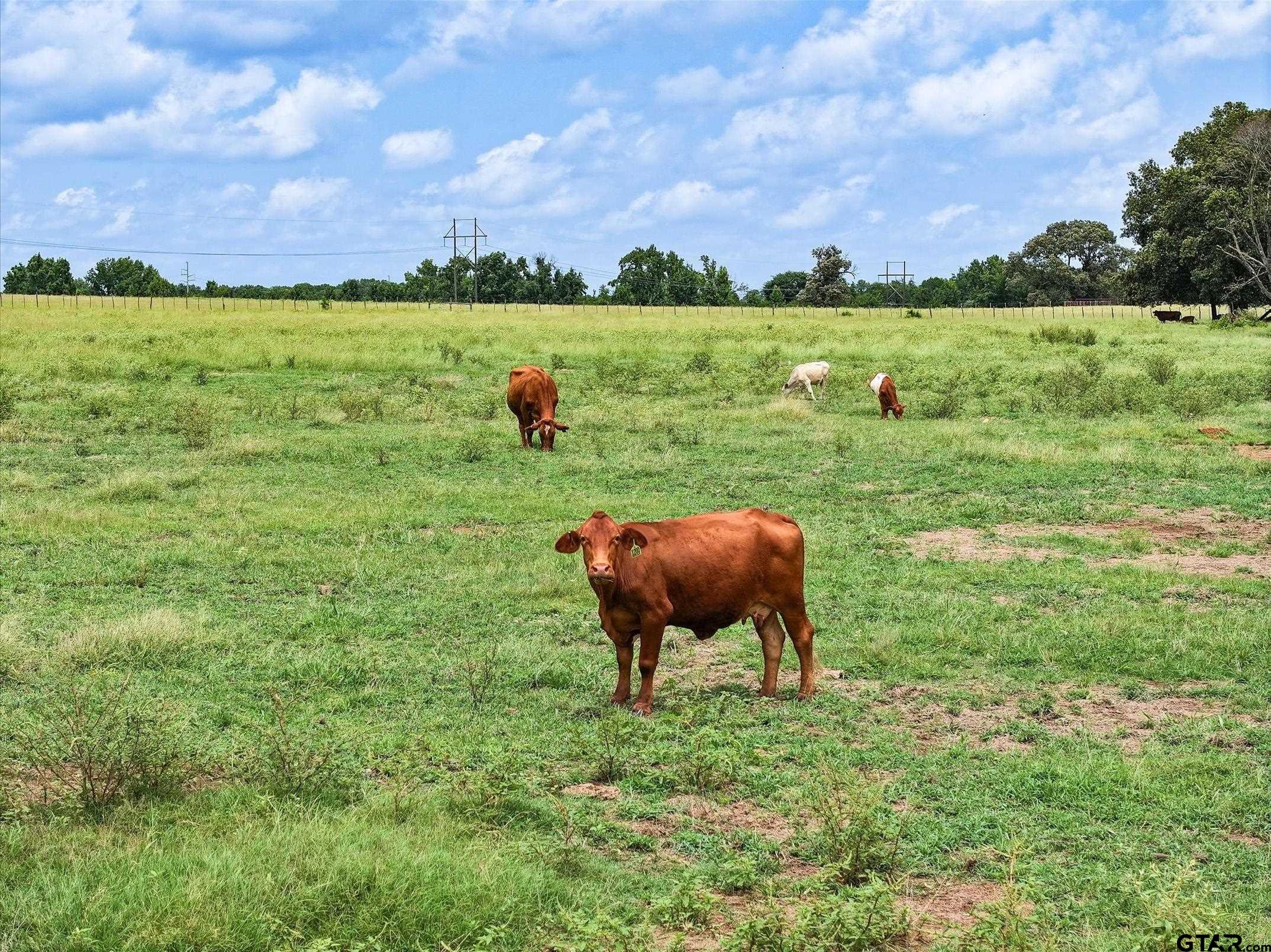 Tract 10 County Road 3415