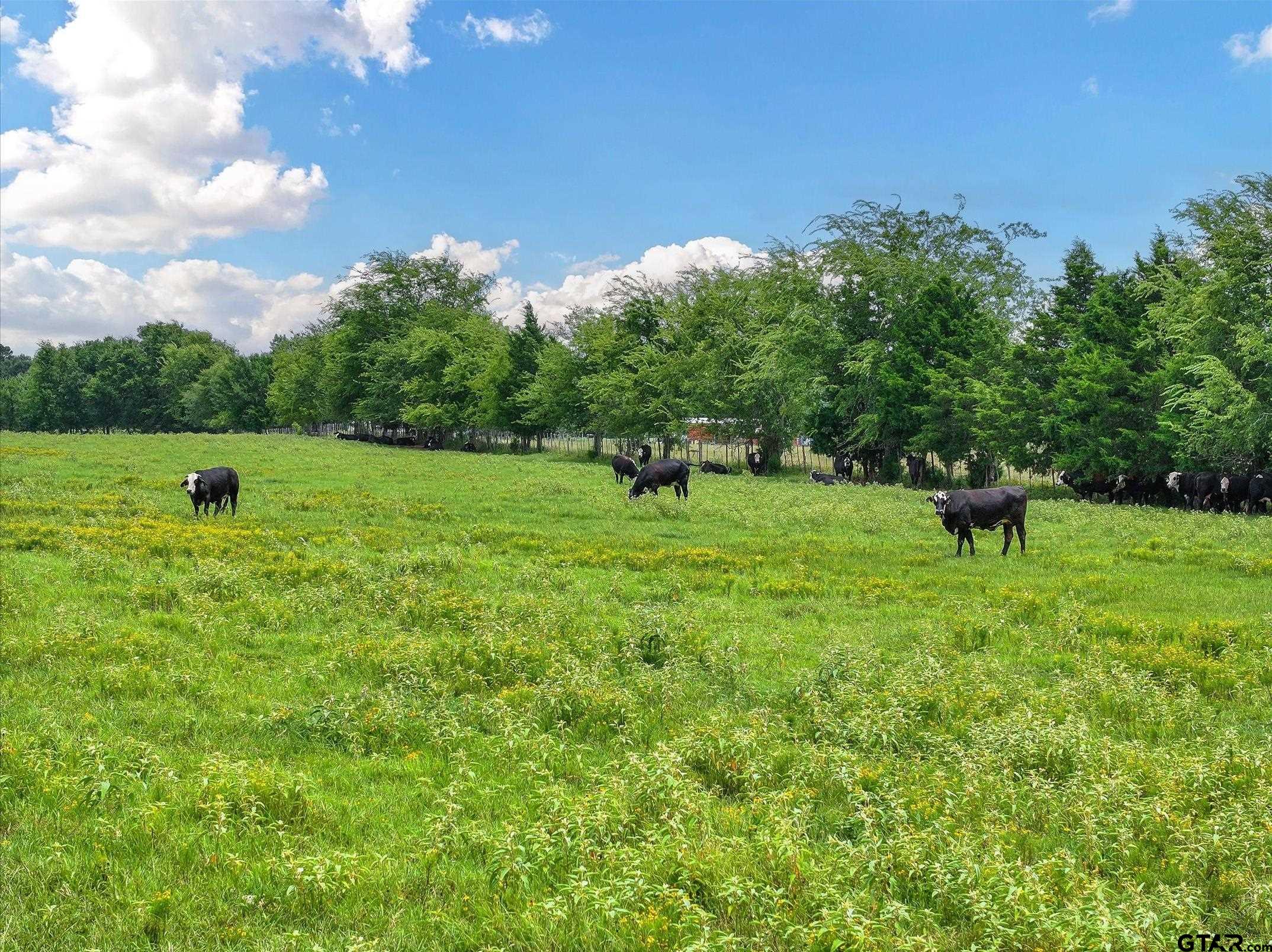 Tract 10 County Road 3415