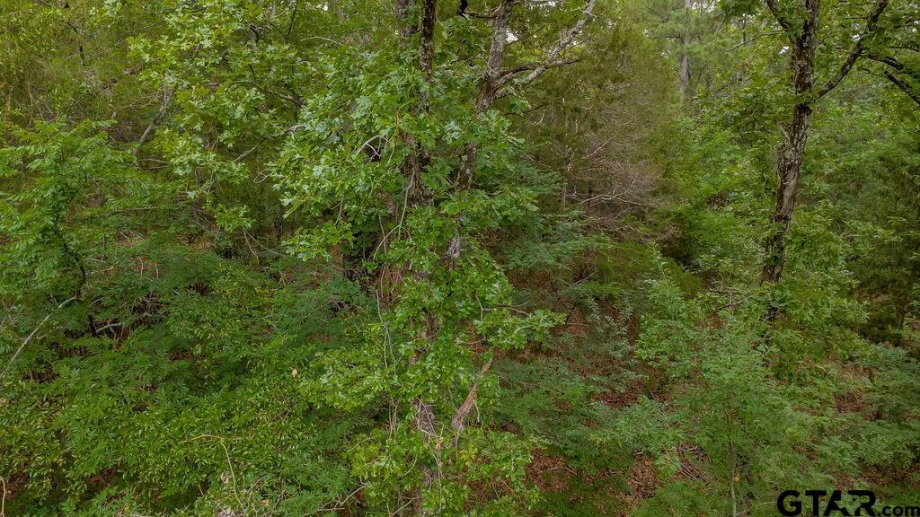 1714 Pineview Lane