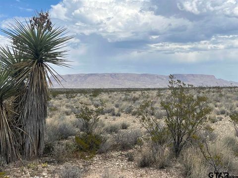 14359 Blue Dawg Terlingua TX 79852