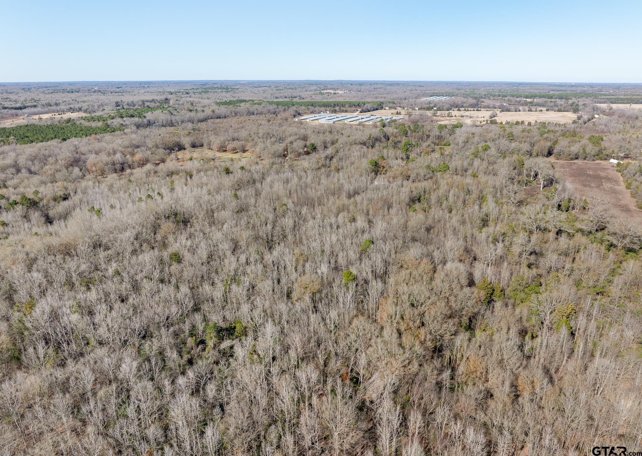 Pittsburg, Texas 75686, United States, ,Land,Active,24777