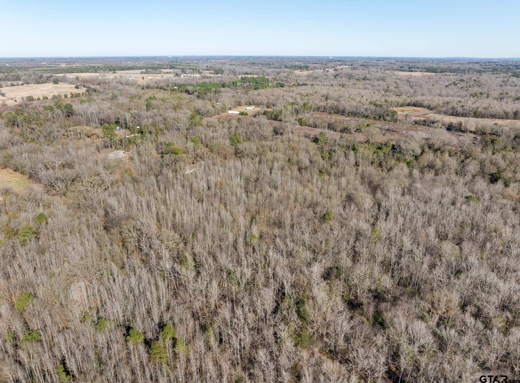 Pittsburg, Texas 75686, United States, ,Land,Active,24777