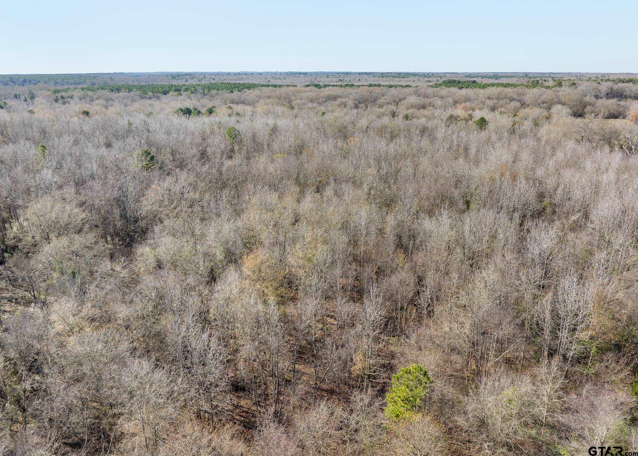 Pittsburg, Texas 75686, United States, ,Land,Active,24777