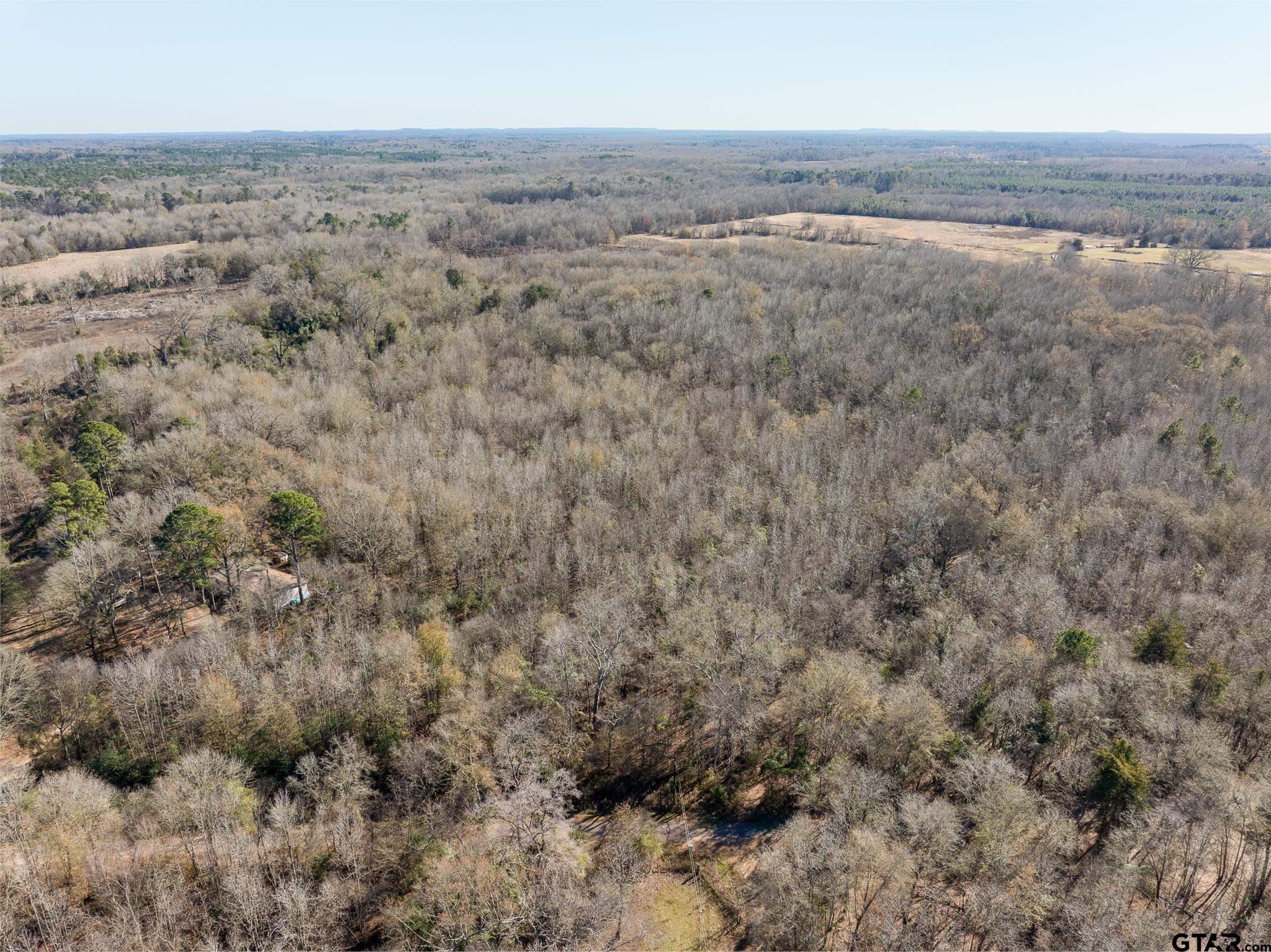 Pittsburg, Texas 75686, United States, ,Land,Active,24777