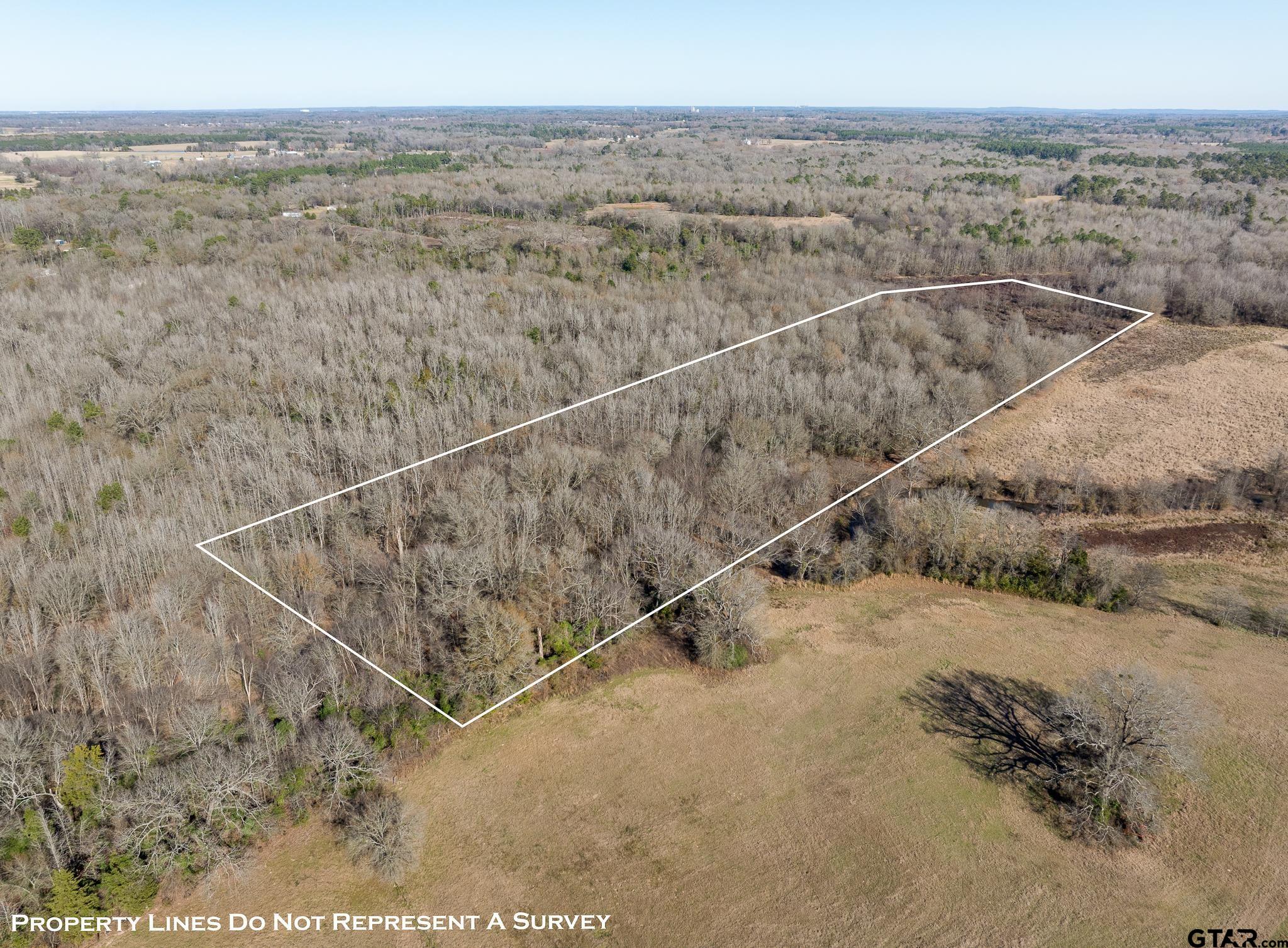 Pittsburg, Texas 75686, United States, ,Land,Active,24777