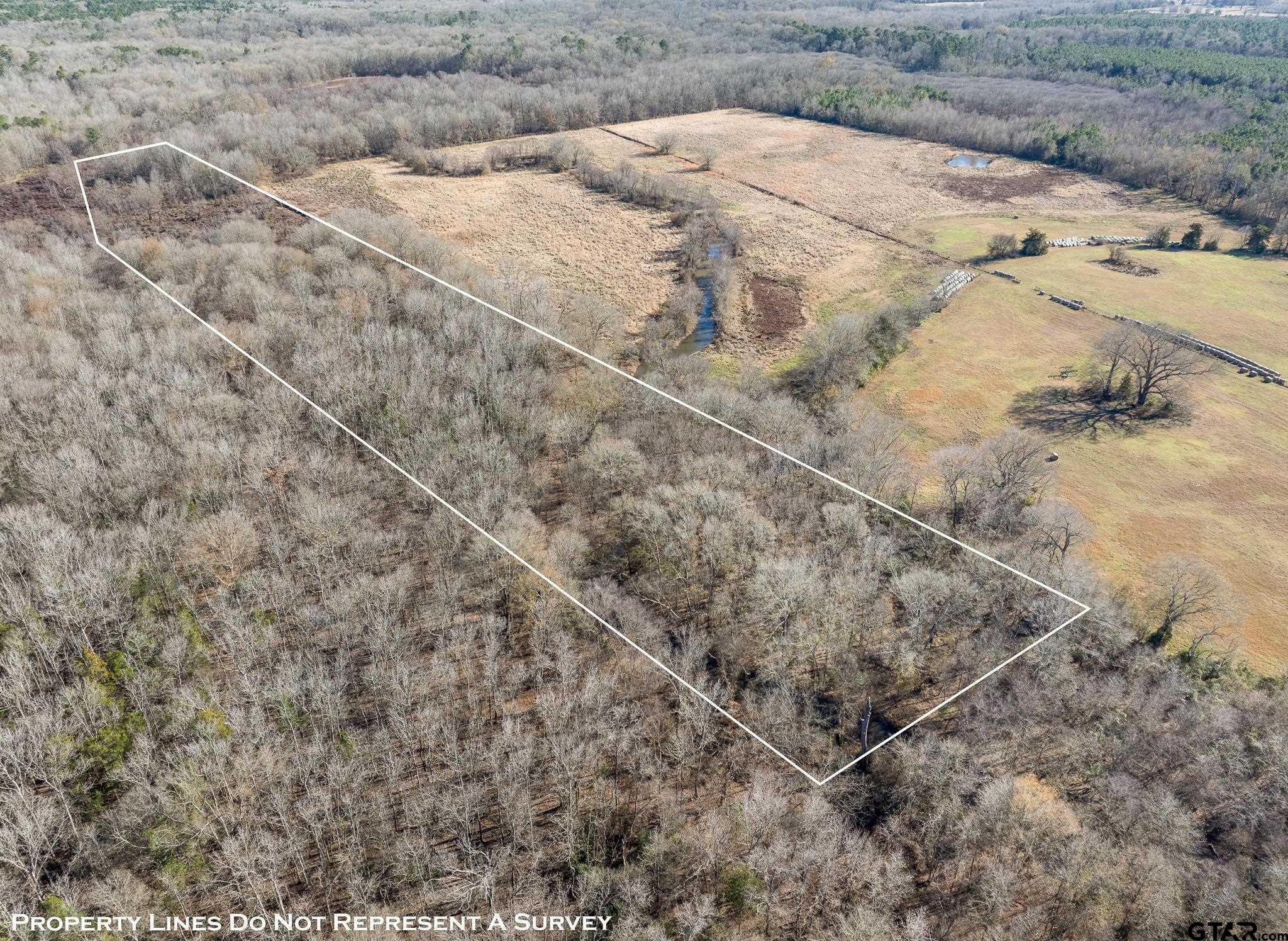 Pittsburg, Texas 75686, United States, ,Land,Active,24777