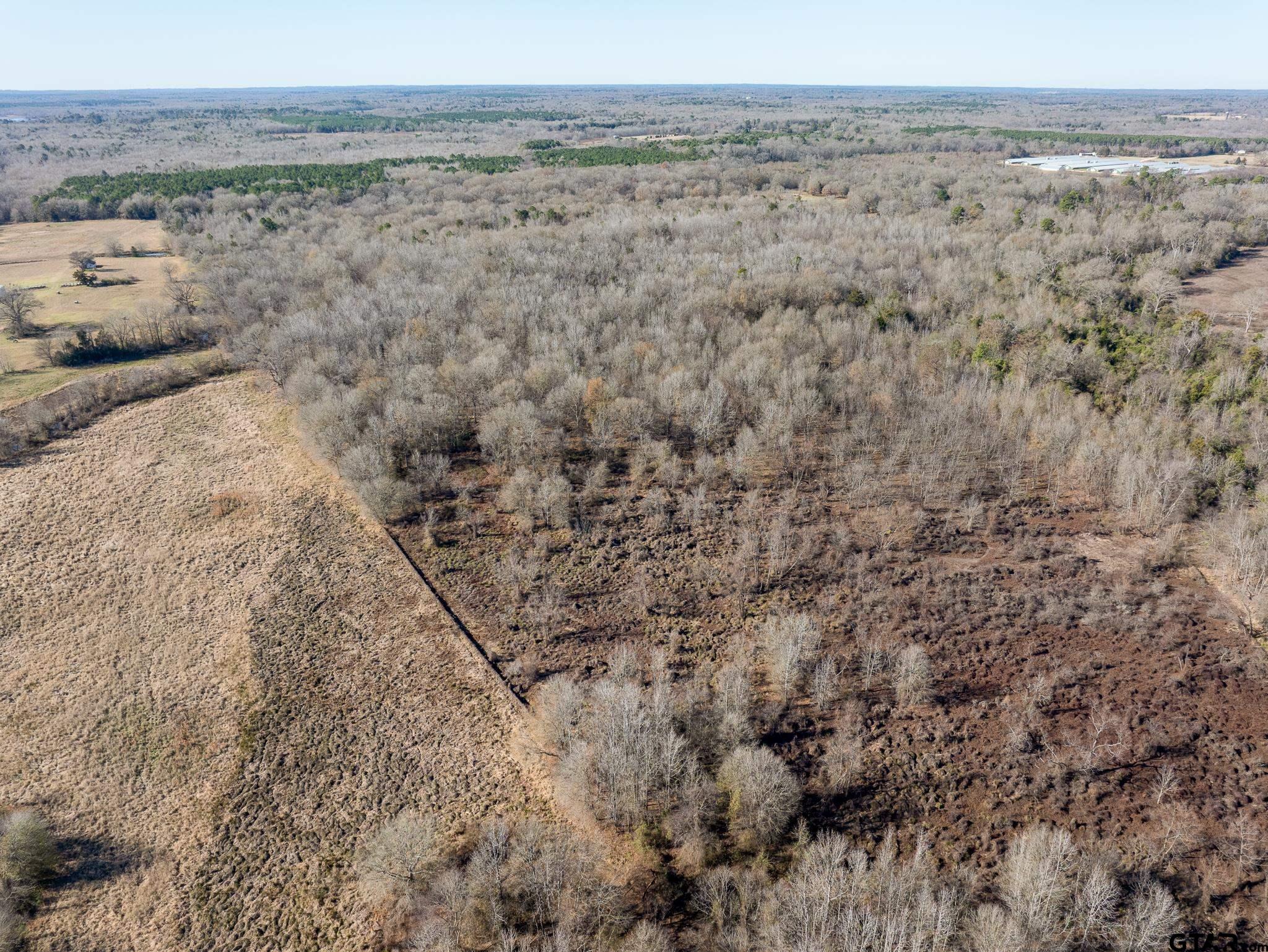 Pittsburg, Texas 75686, United States, ,Land,Active,24777