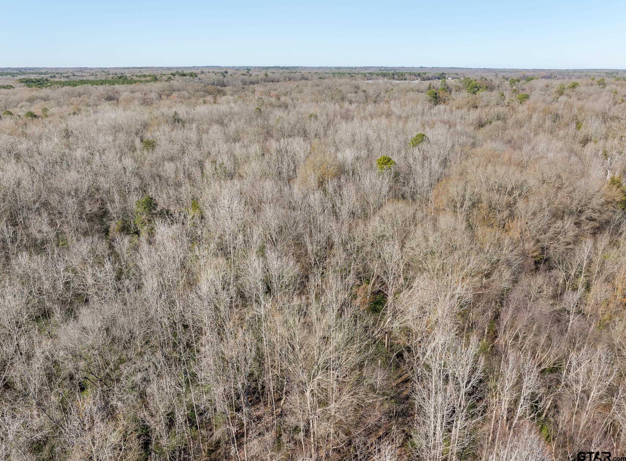 Pittsburg, Texas 75686, United States, ,Land,Active,24777