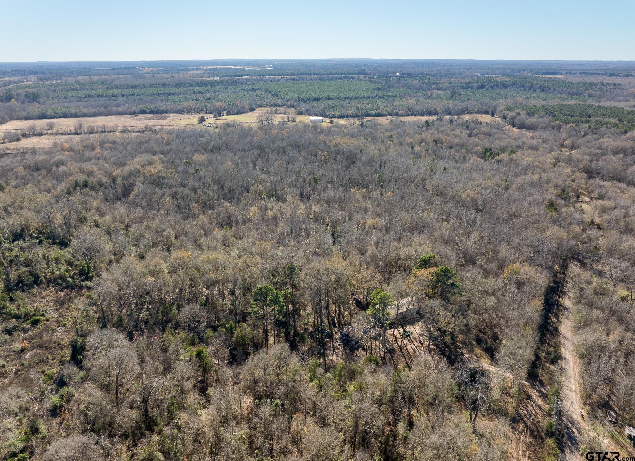 Pittsburg, Texas 75686, United States, ,Land,Active,24777