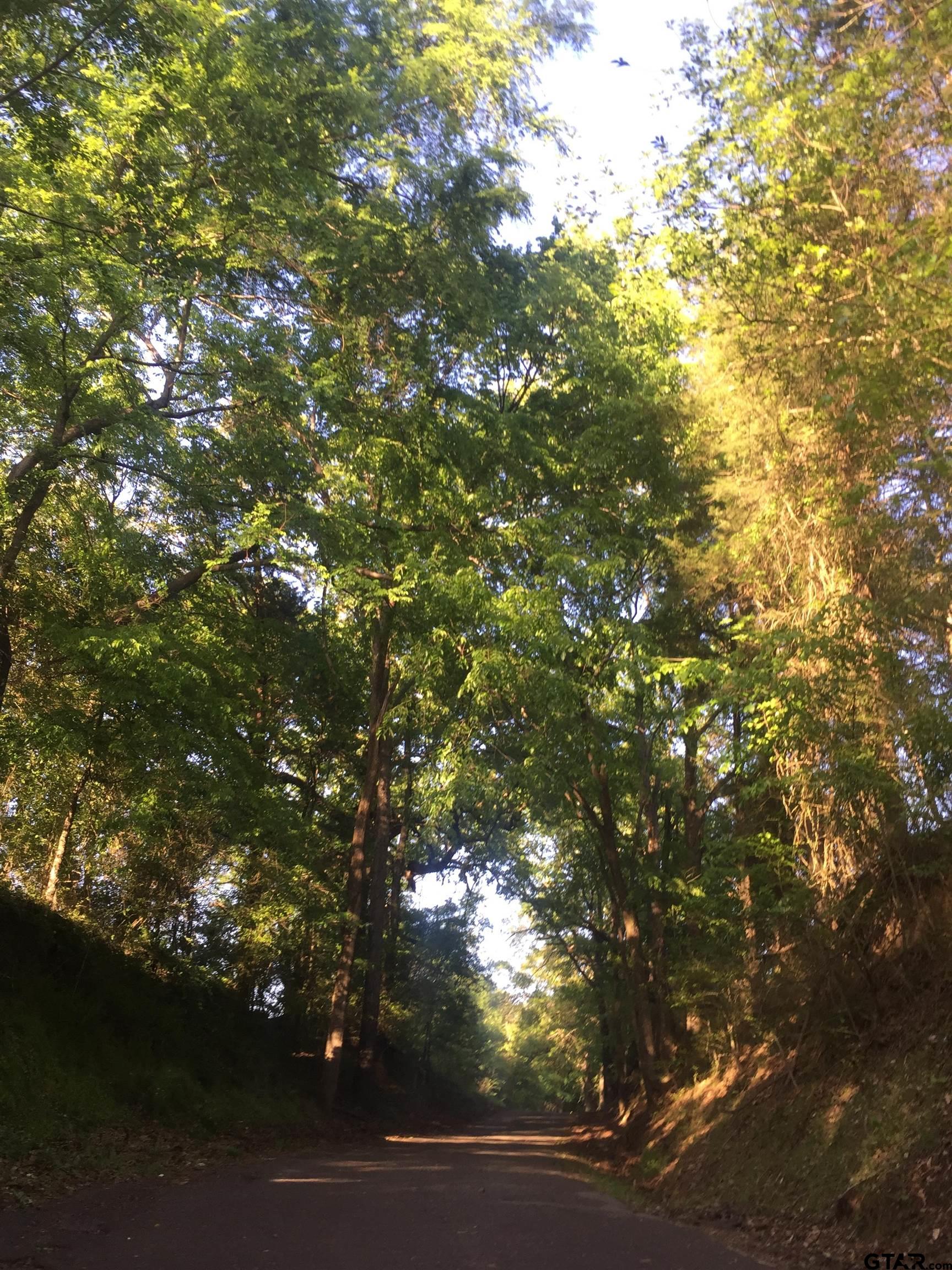 Pittsburg, Texas 75686, United States, ,Land,Active,24777