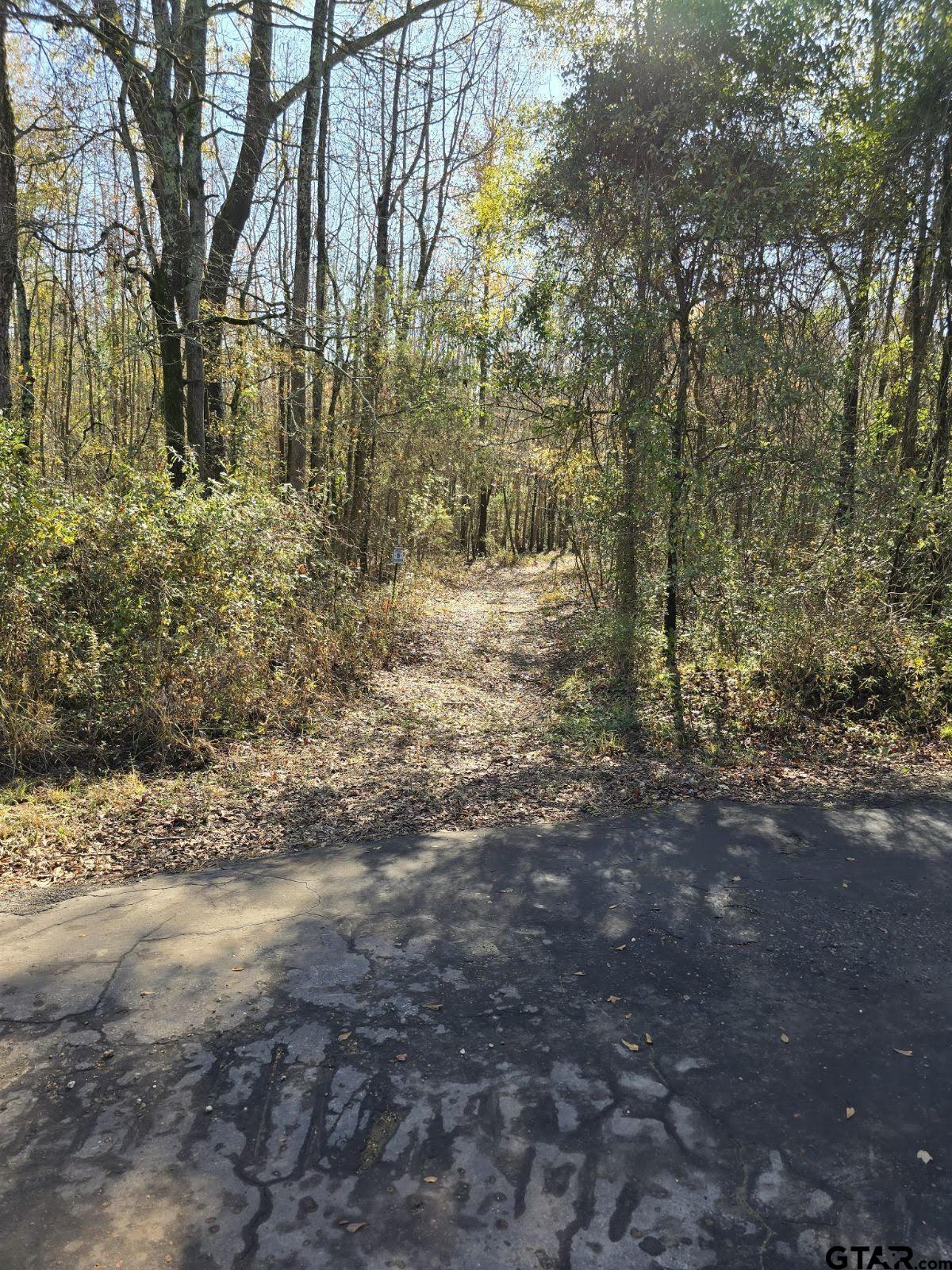 Pittsburg, Texas 75686, United States, ,Land,Active,24777