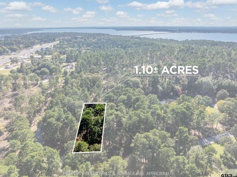 0 Pintail Flint TX 75762