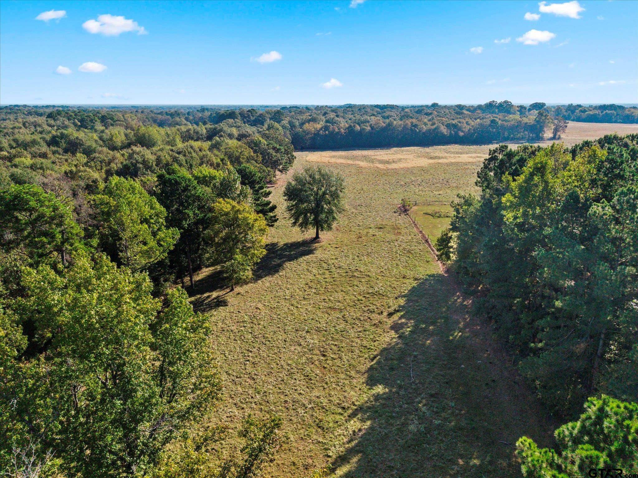 TBD County Road 3355