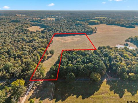 TBD County Road 3355 Mt Pleasant TX 75455