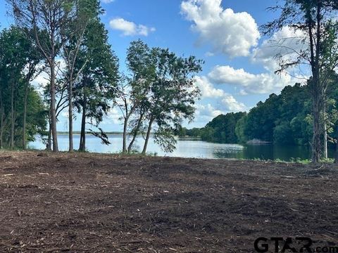 Lot 34 Oak River Frankston TX 75763