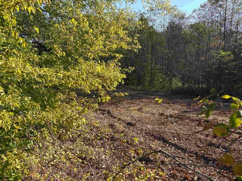 TBD FM 607 Brownsboro TX 75756