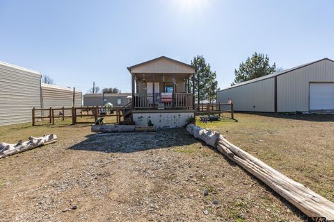 384 Holiday Village Dr Quitman TX 75783