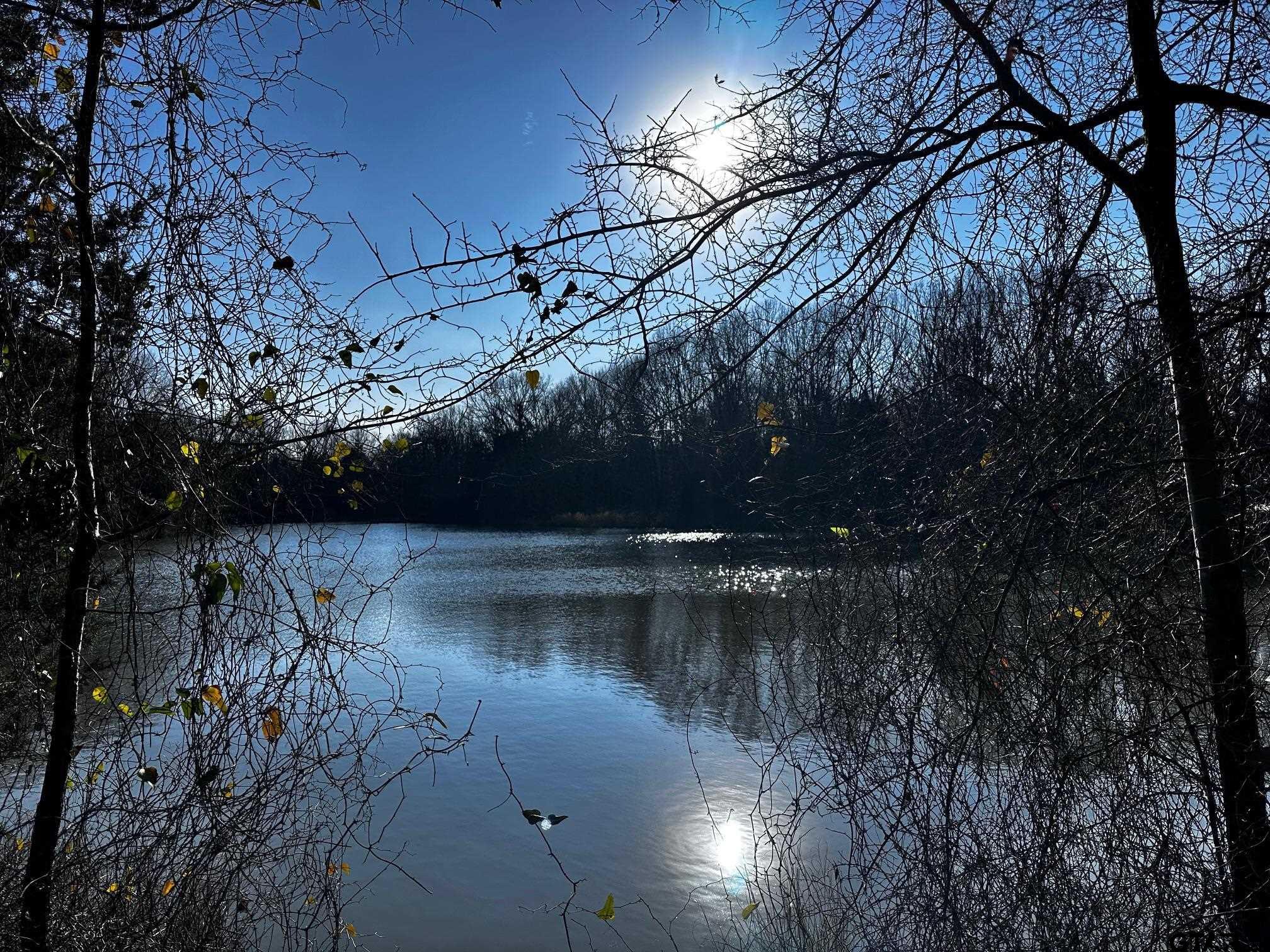 TRACT H/ 333 PRIVATE RD 8506