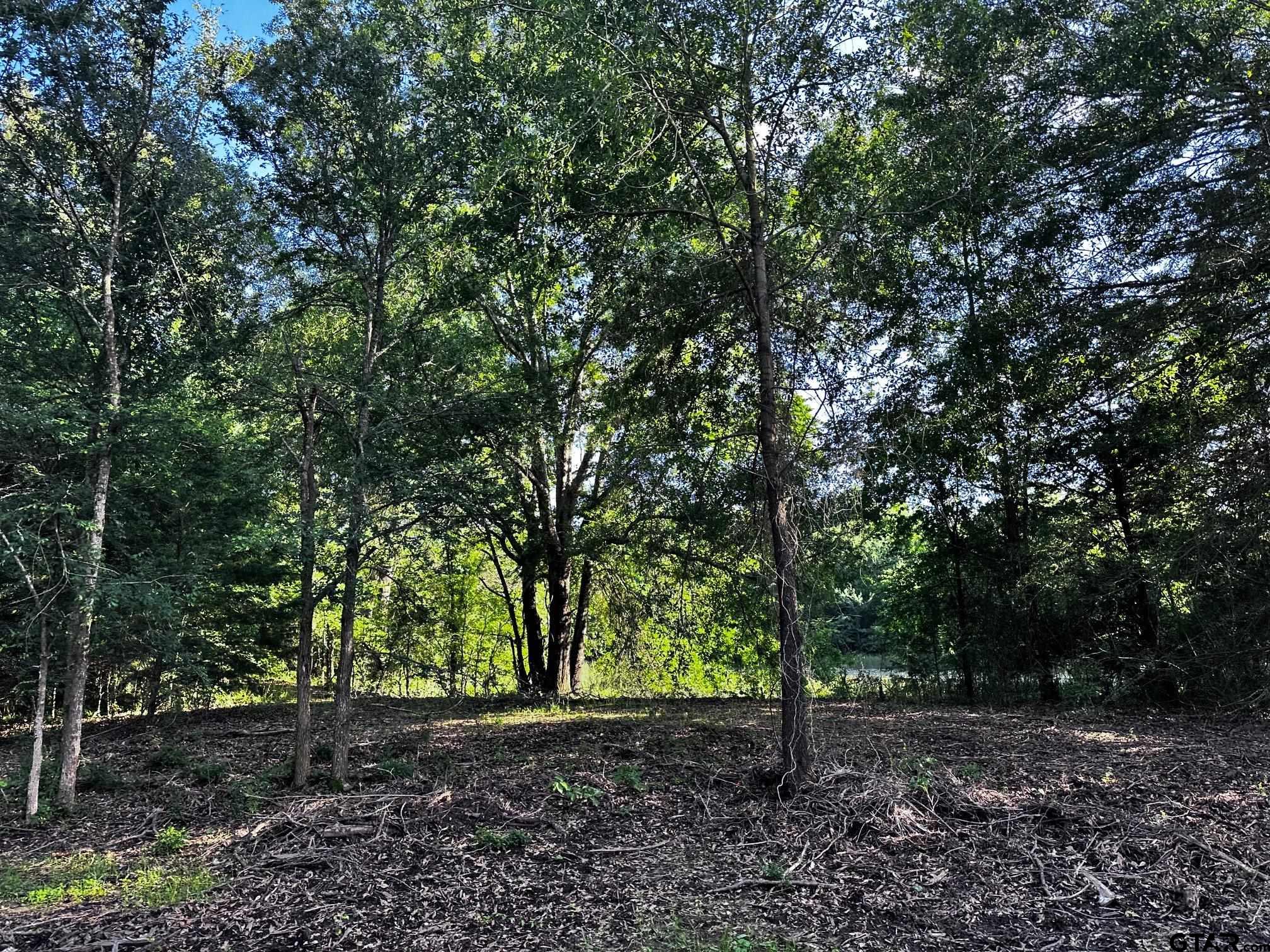 TRACT H/ 333 PRIVATE RD 8506