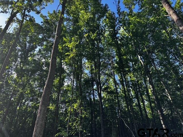 TRACT H/ 333 PRIVATE RD 8506