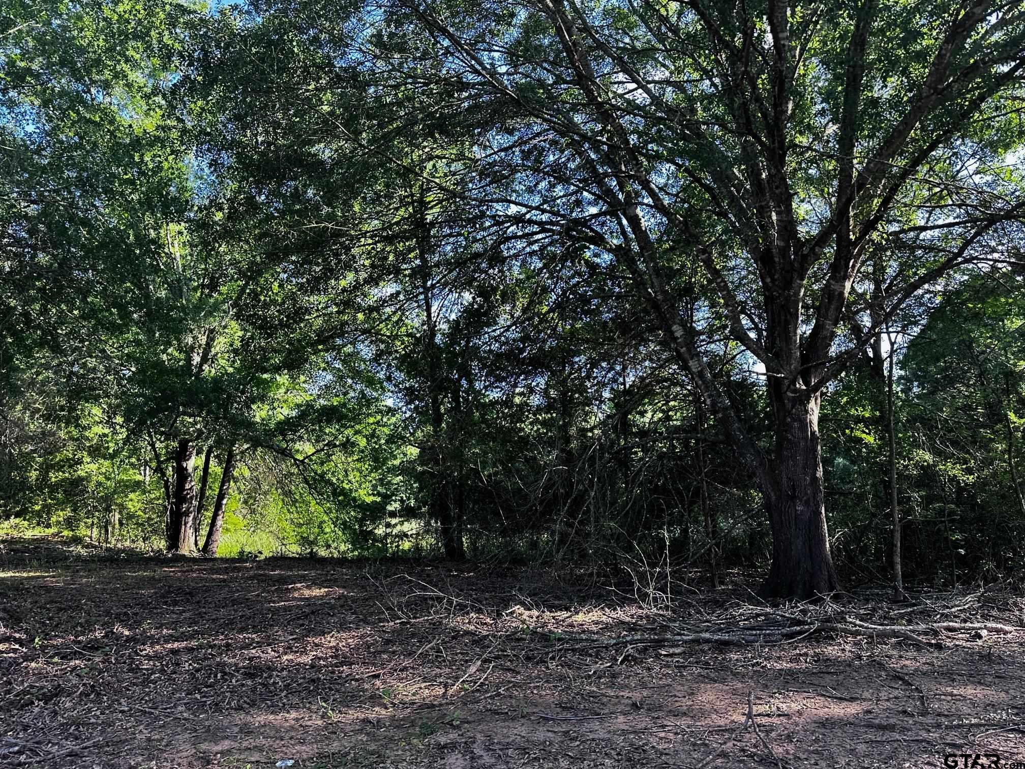 TRACT H/ 333 PRIVATE RD 8506