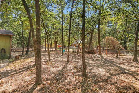 A home in Holly Lake Ranch