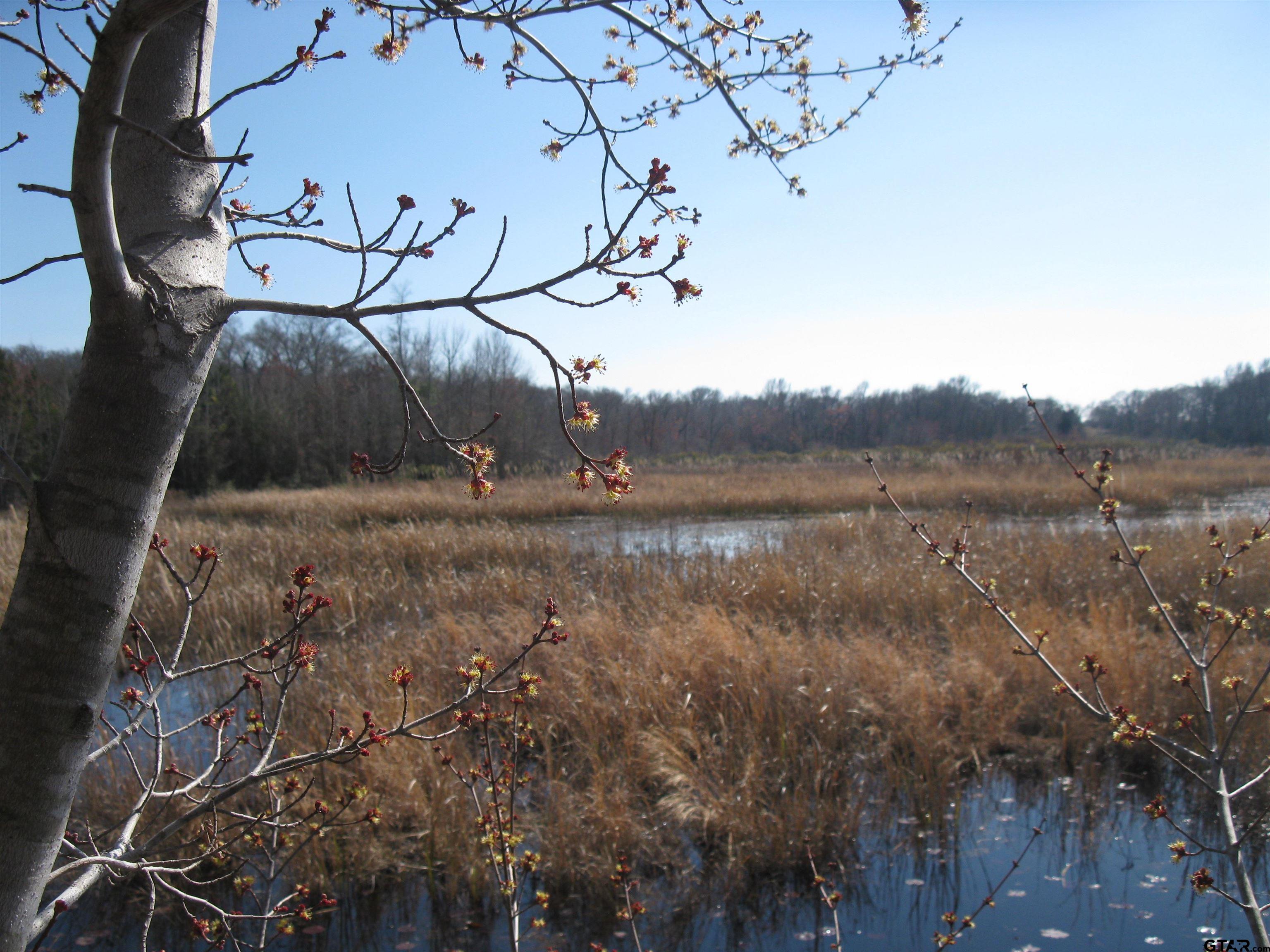 TBD 133+/- acres CR 4701