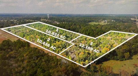 17278 Hwy 69 south Tyler TX 75703