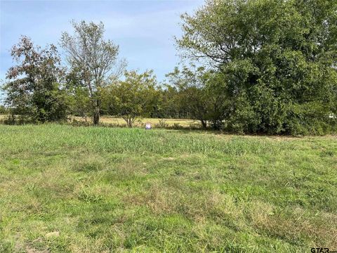 TBD S Highway 271 Pittsburg TX 75686