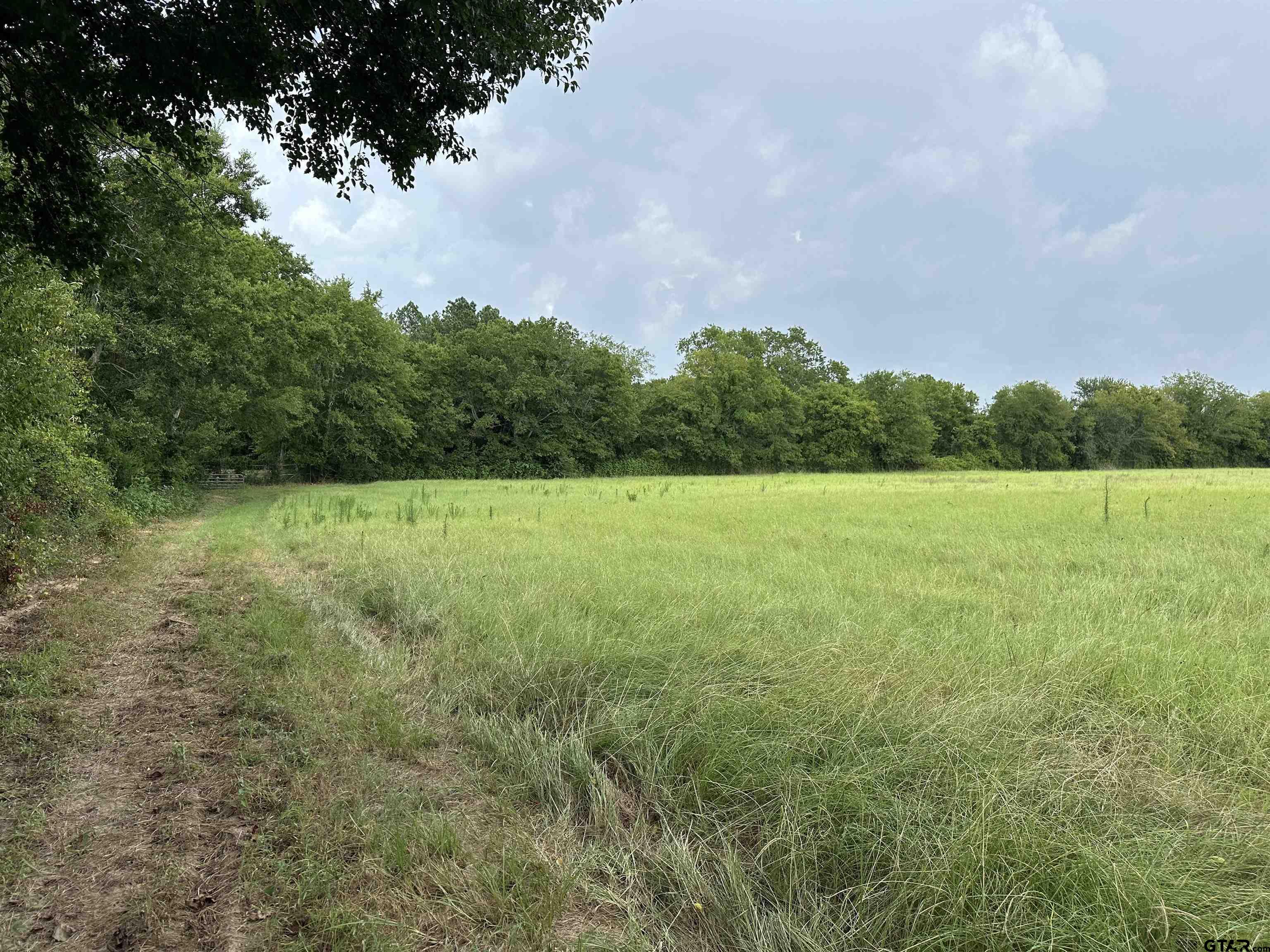3697 An County Road 309 Tract 2 A South Tract