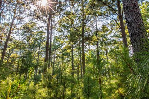 Tract 8 CR 4221 Frankston TX 75763