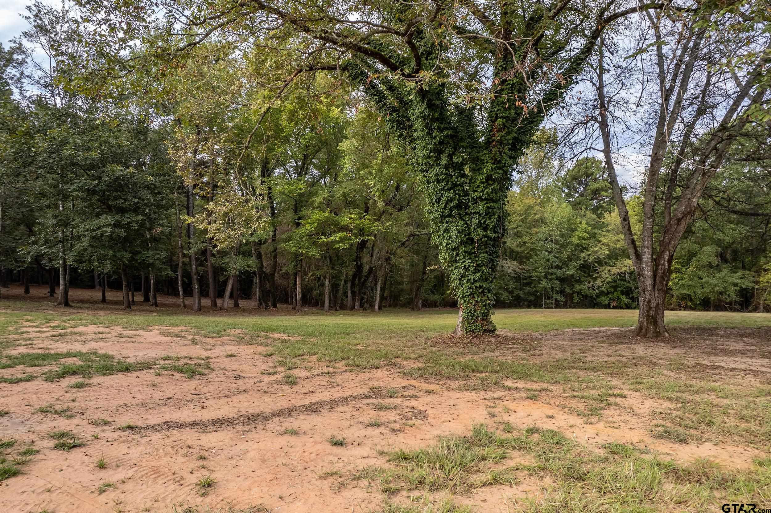 13130 County Road 4124