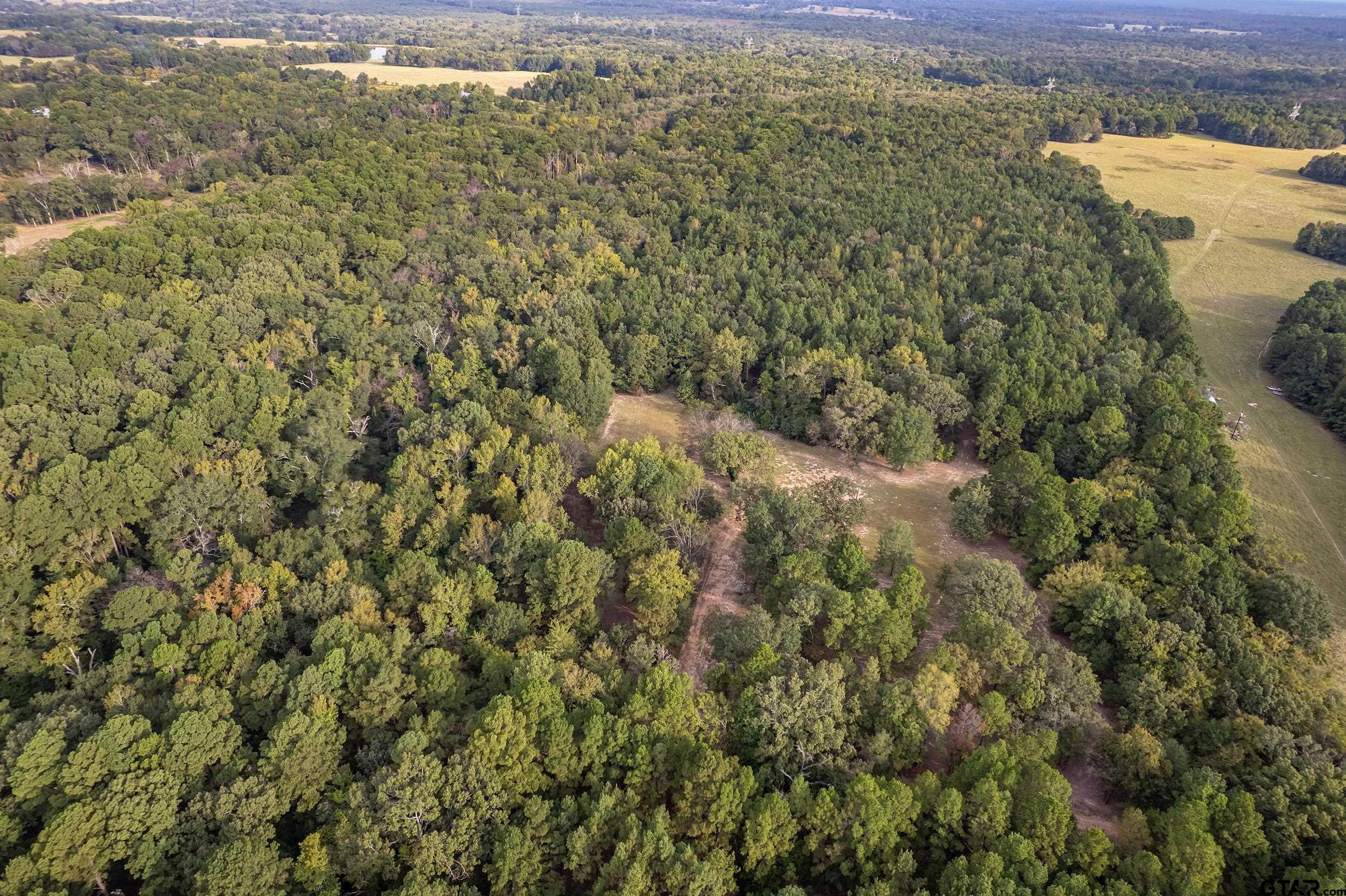 13130 County Road 4124