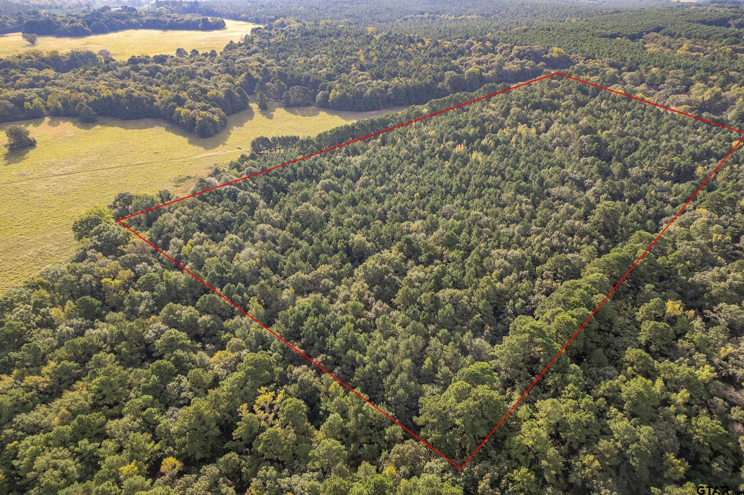 13130 County Road 4124