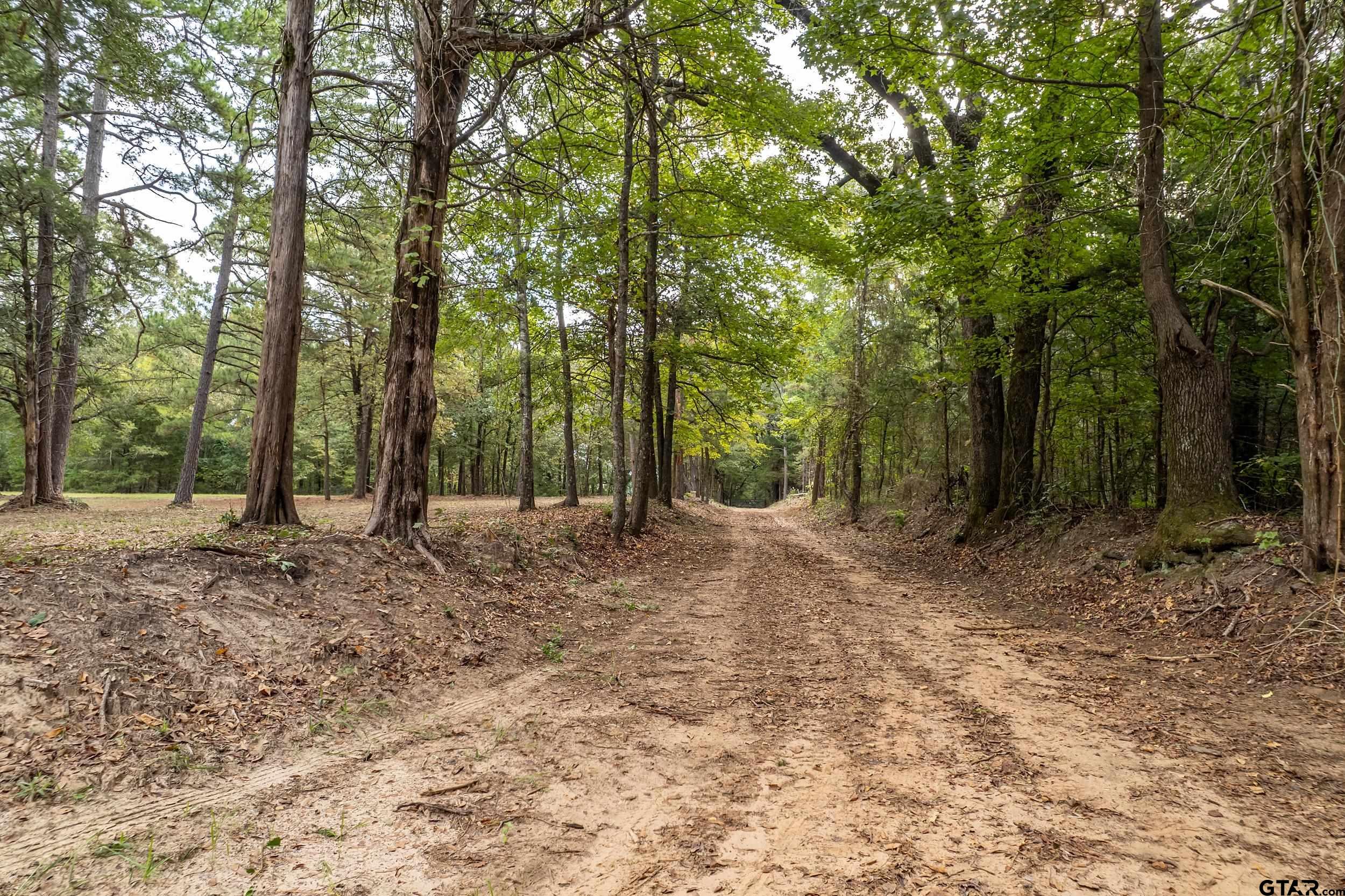 13130 County Road 4124