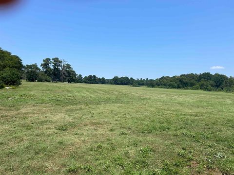 22173 HWY 135 Troup TX 75789