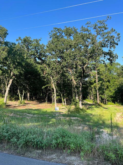 3242 Shadow Pine Dr LaRue TX 75770