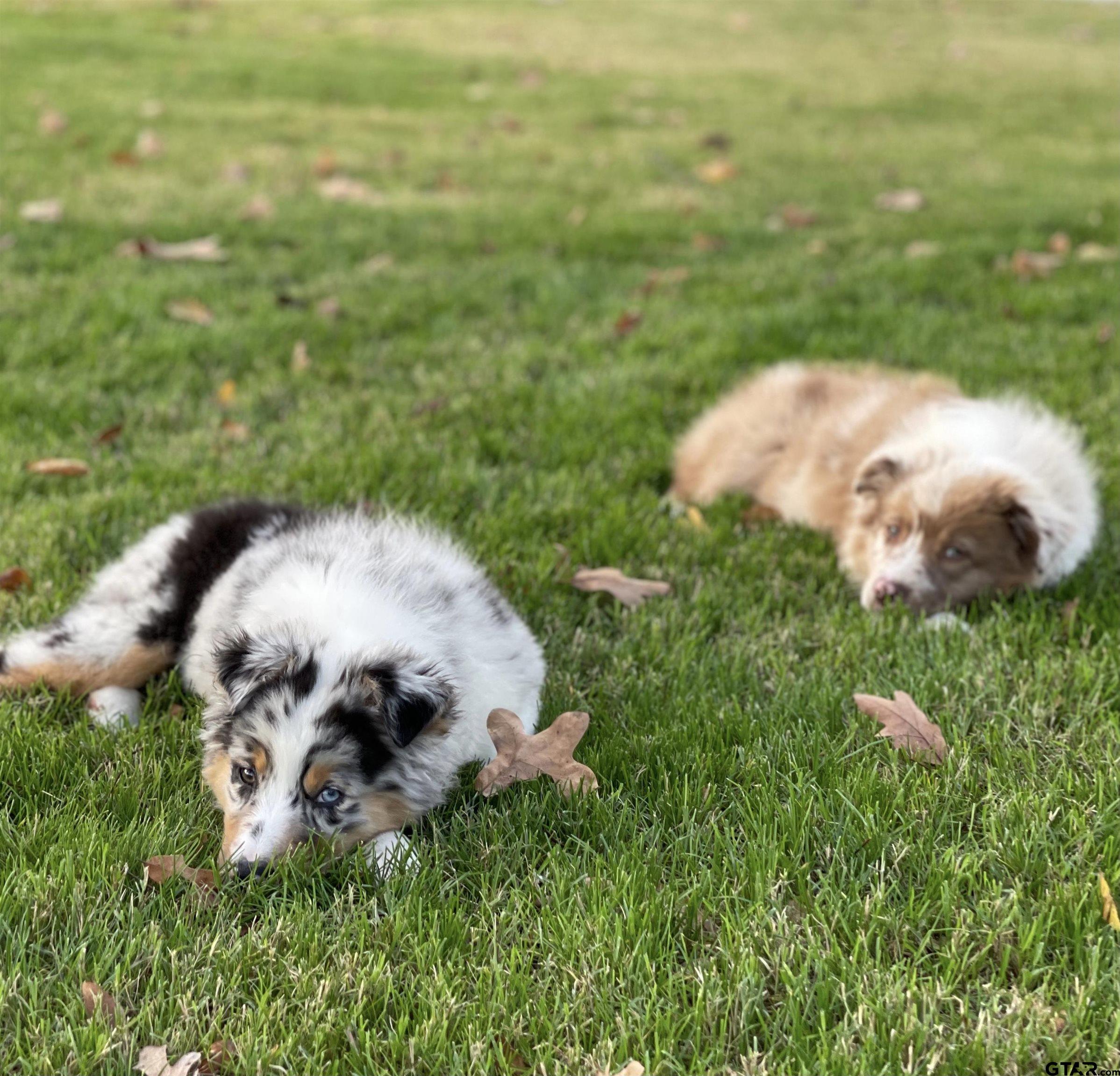 153 Private Road 6238