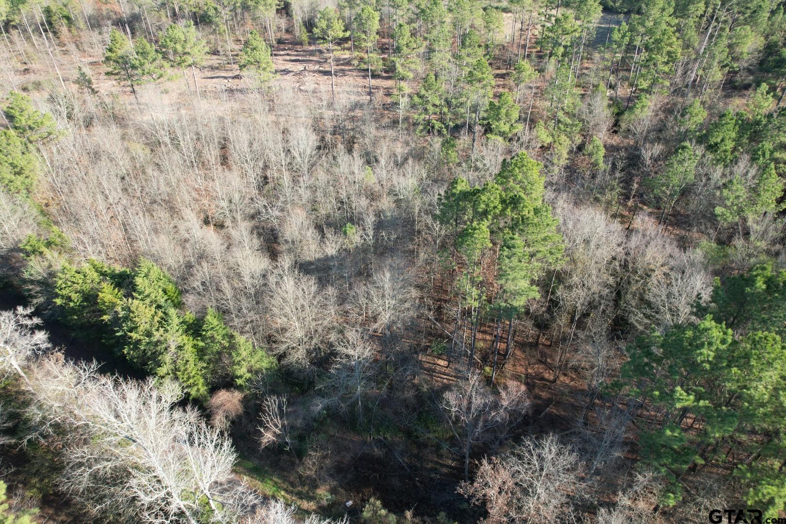 TBD-D County Road 216