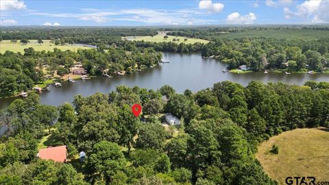 20009 SOUTHSIDE CIR Winona TX 75792