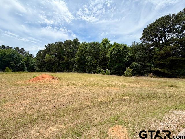 14973 Turtle Creek Ranch Road